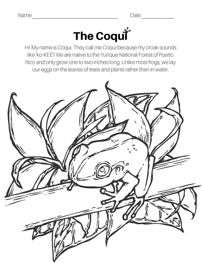 The Coqui Worksheet